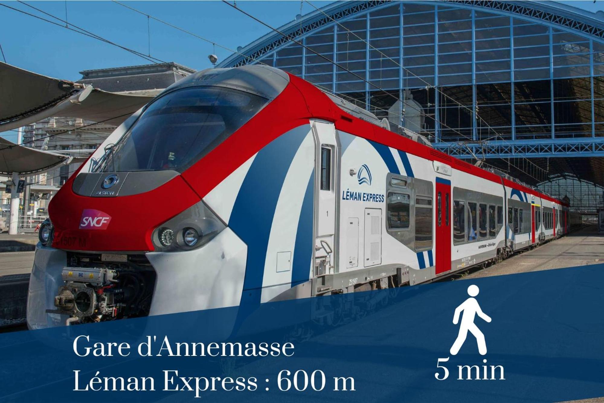 Homey Forest - Hypercentre - Proche Gare Et Tram - Wifi & Netflix Annemasse Εξωτερικό φωτογραφία